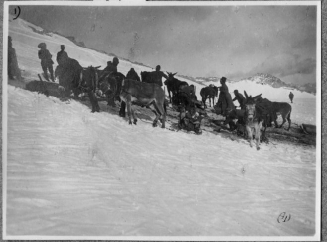 Le salmerie dell'Adamello al Venerocolo