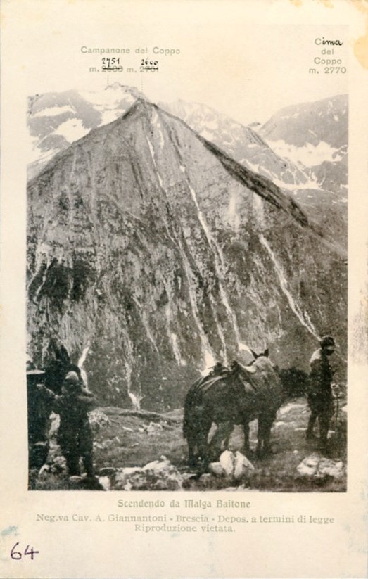 Scendendo da malga Baitone