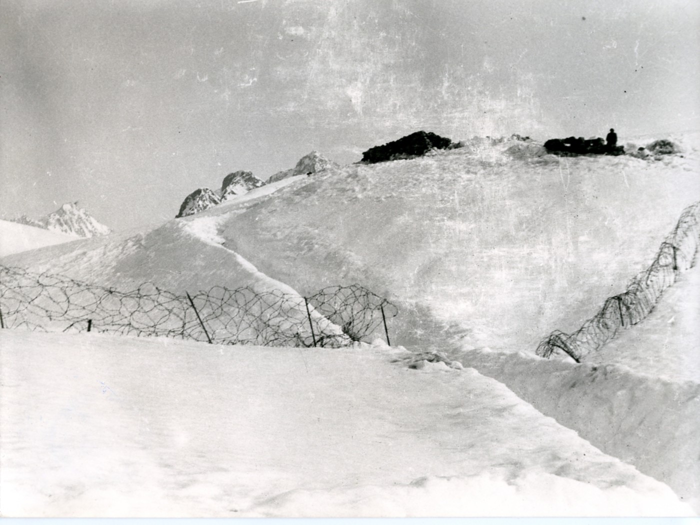 Ghiacciaio del Mandrone