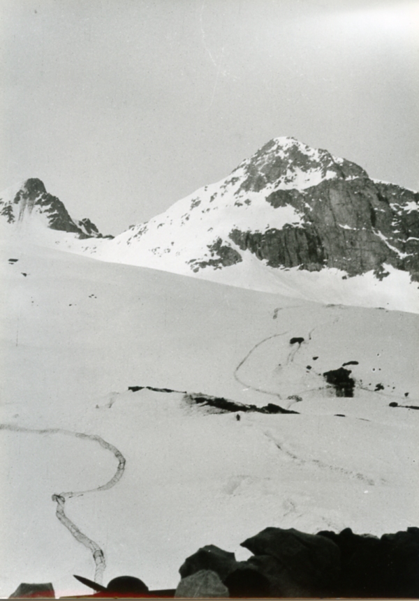 Vedretta di Lares