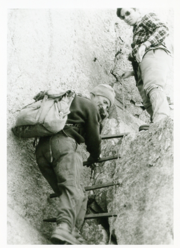 Federici A. Faustinelli