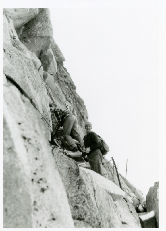 Federici A. Faustinelli