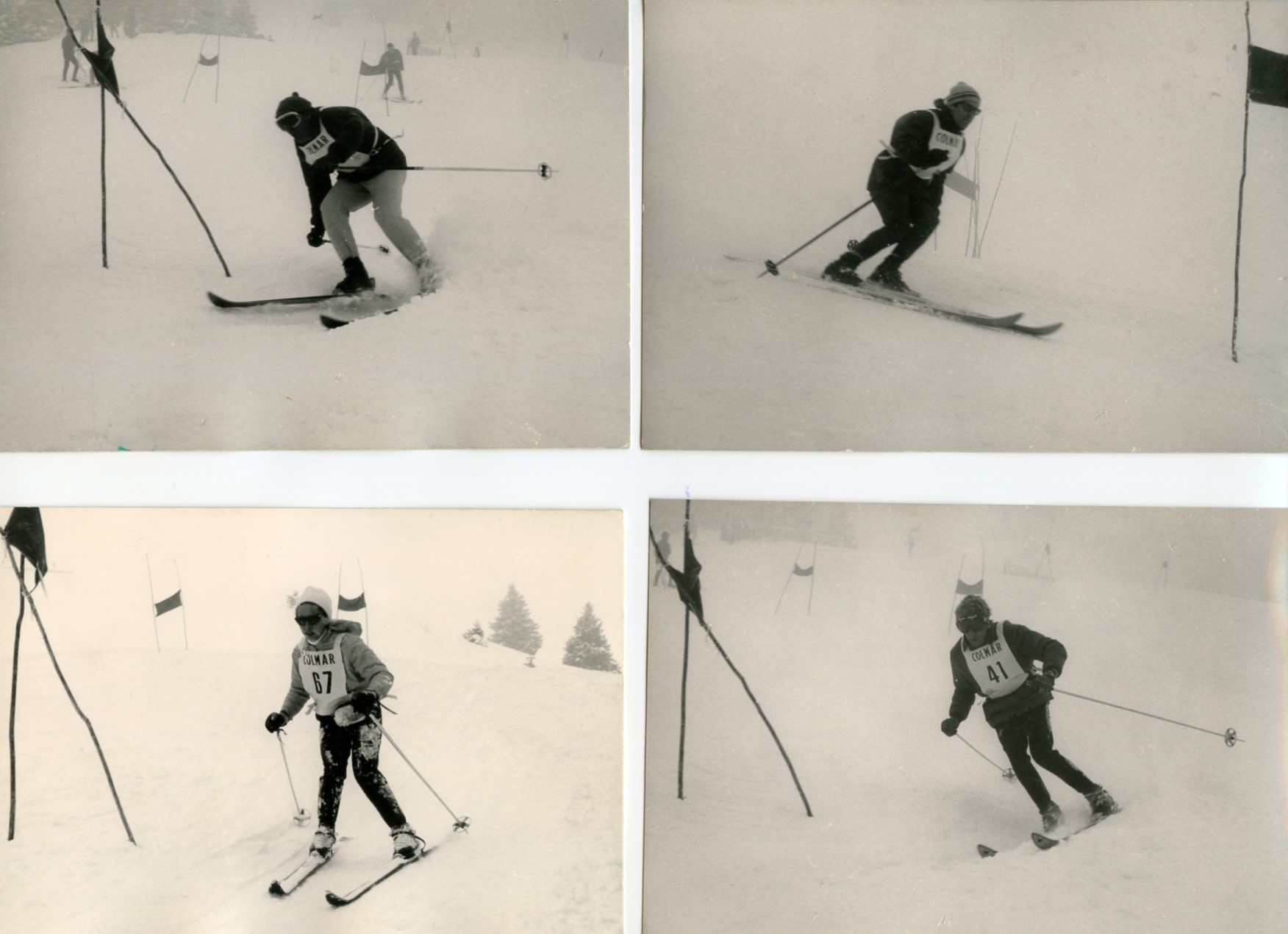 Foto gare e premiazioni