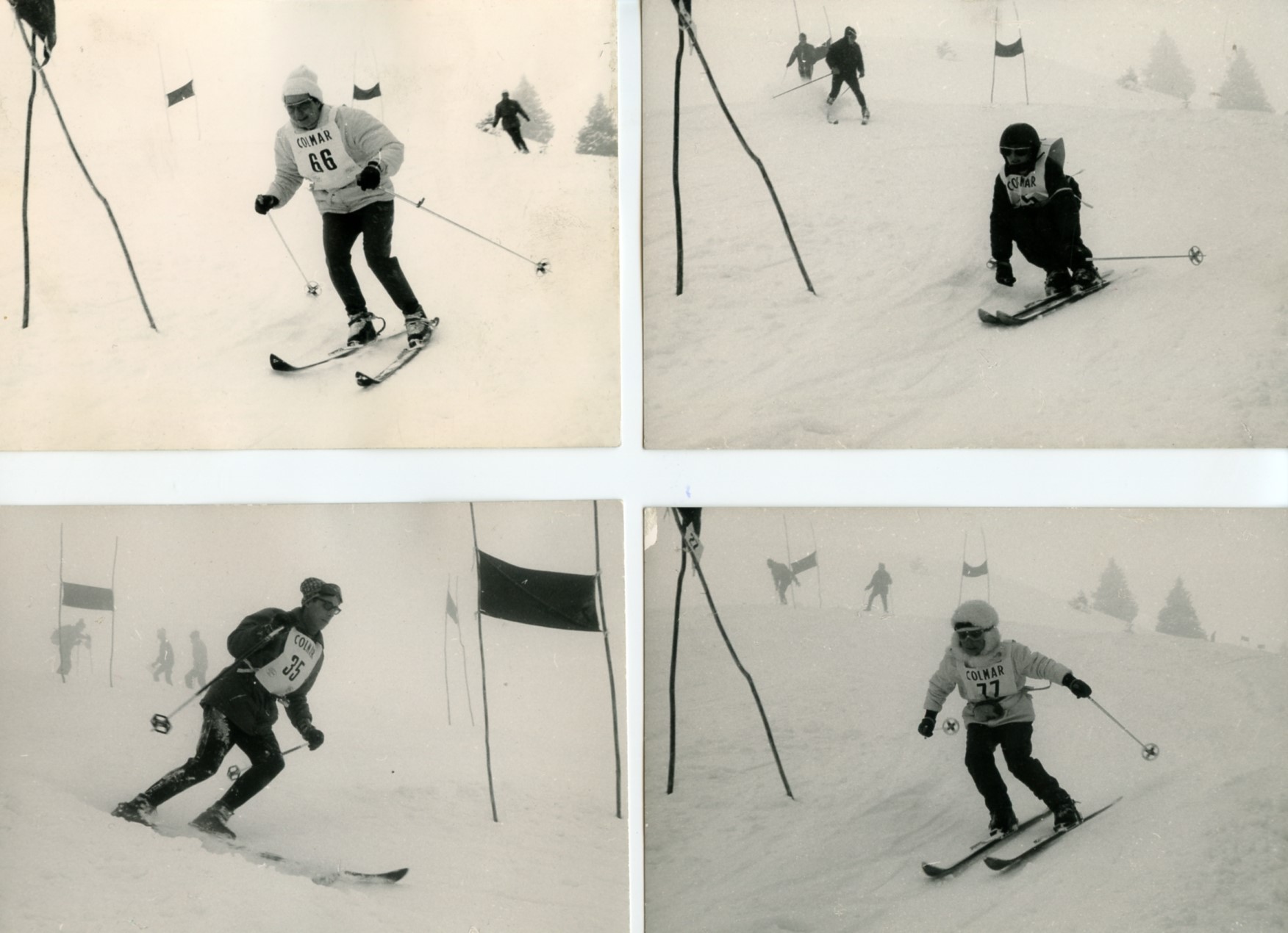 Foto gare e premiazioni