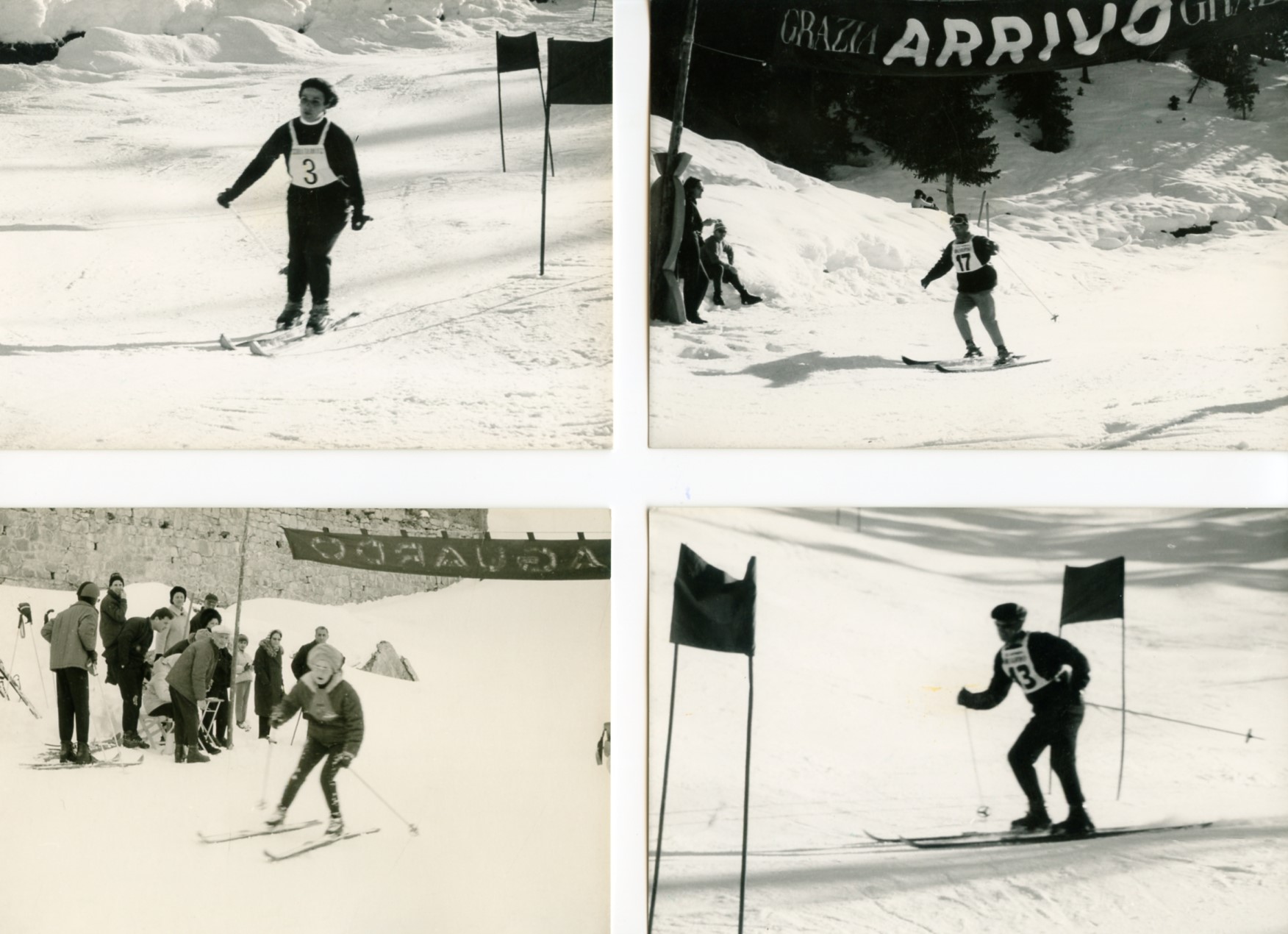 Foto gare e premiazioni