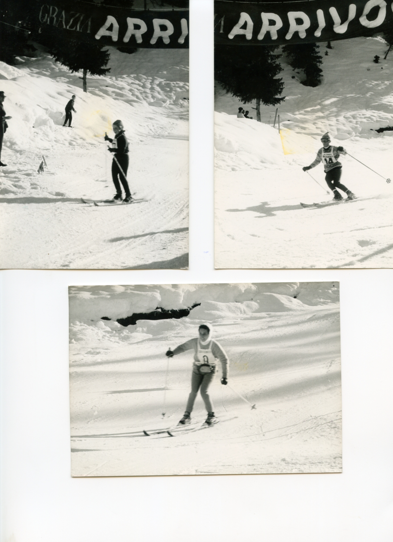 Foto gare e premiazioni