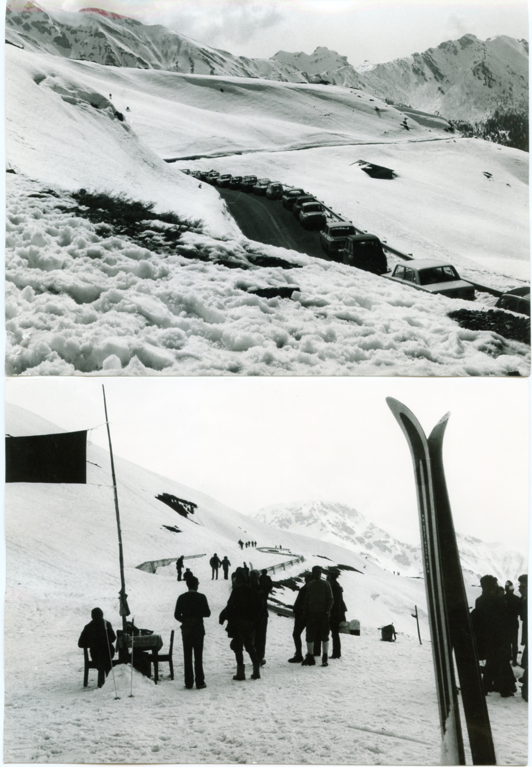 Foto gare e premiazioni