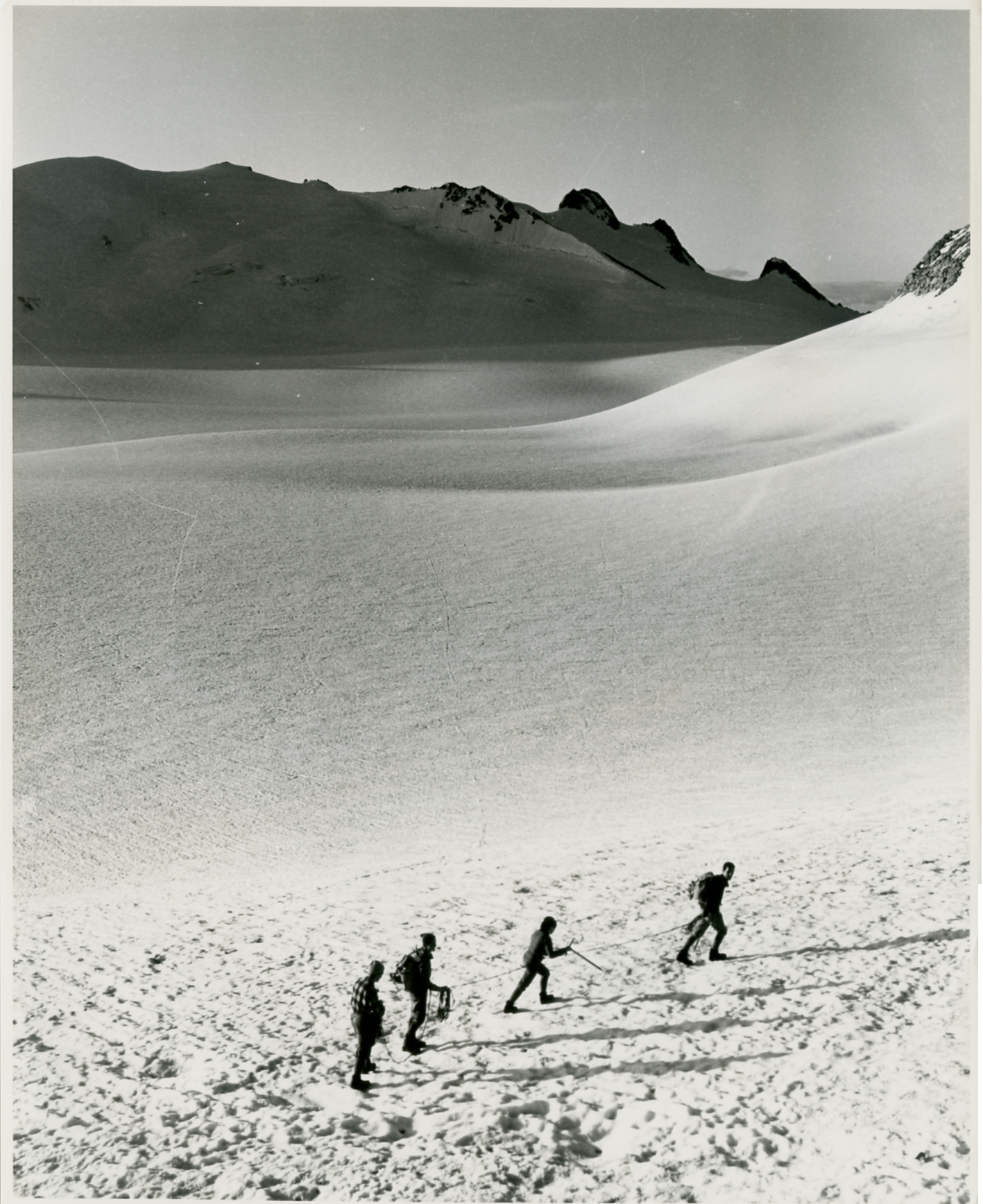 Cordata nel gruppo dell'Adamello