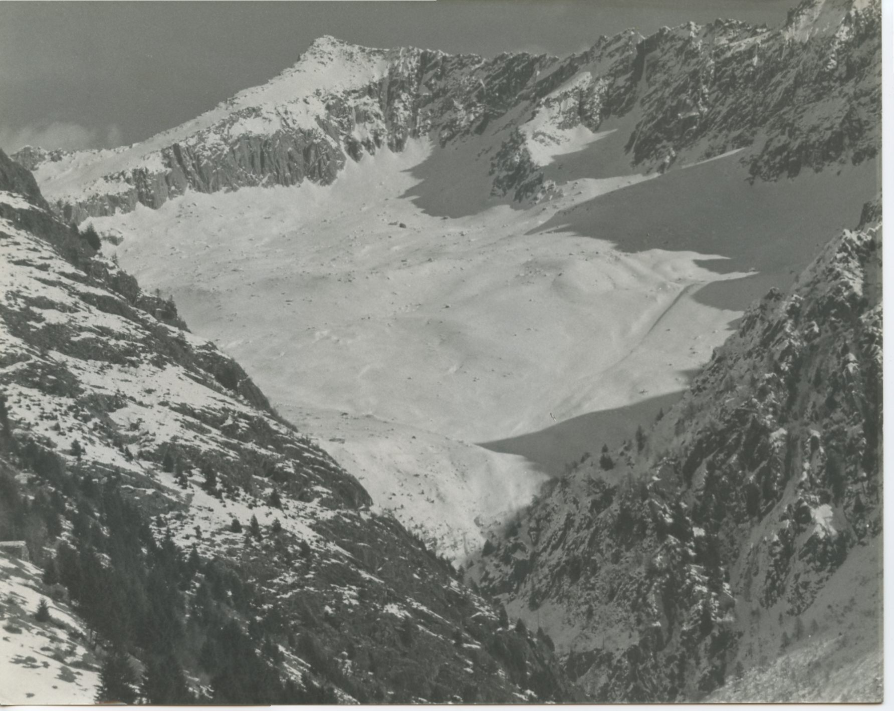 Cima nel gruppo dell'Adamello?