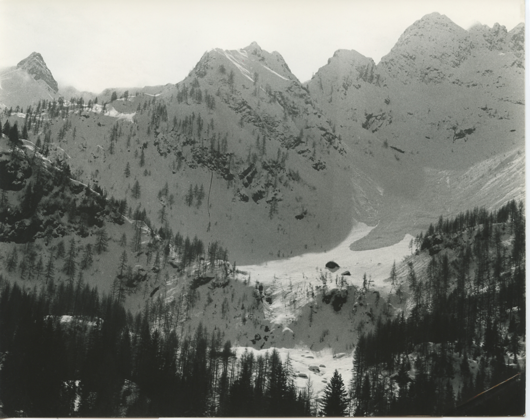 Paesaggio invernale